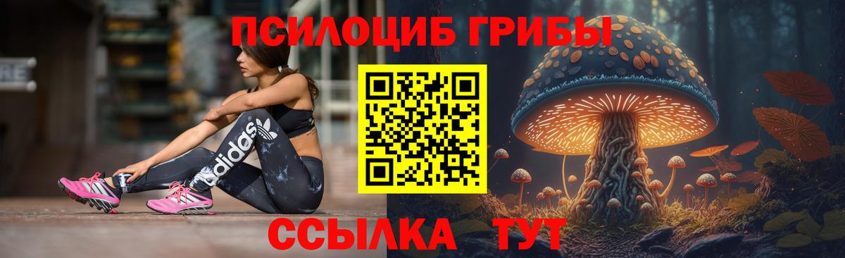 Конаково  Псилоцибиновые грибы Psilocybine cubensis  цена   Вход с VPN 